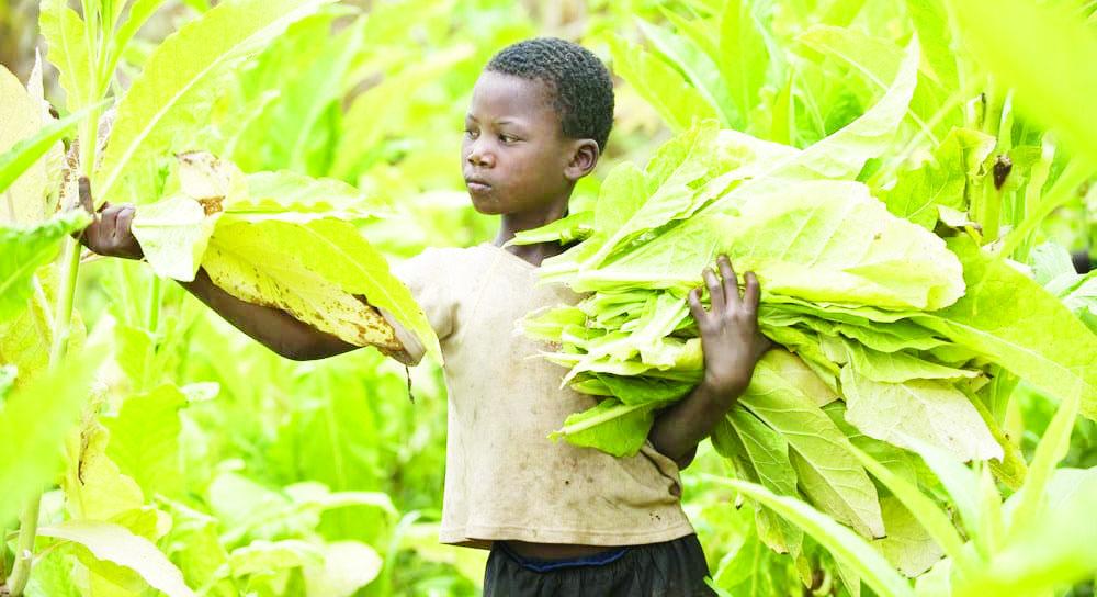 Child labour persists after tenancy system abolition