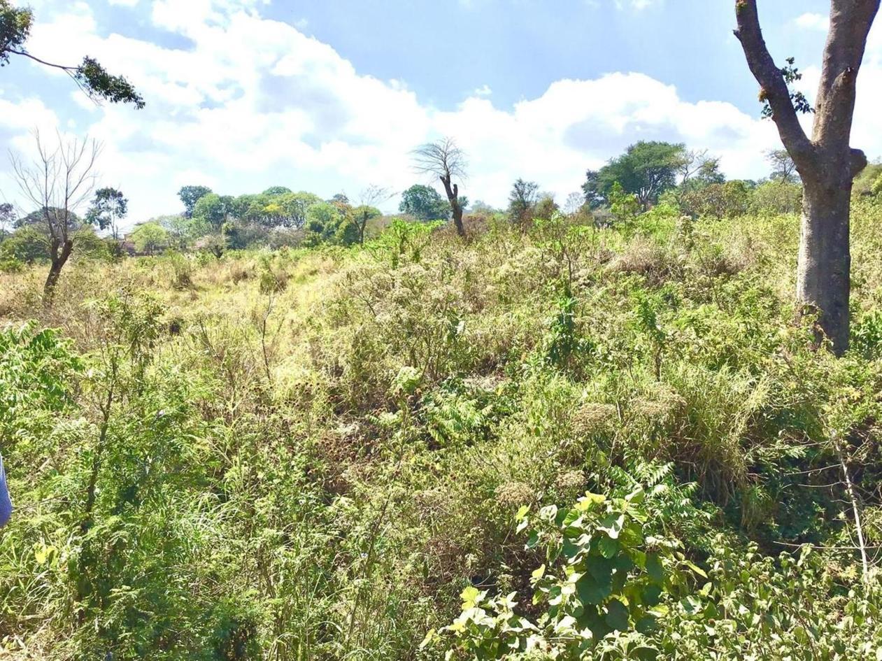 Indiscriminate deforestation of Njamba Park prompts environmentalists CURE to demand for immediate mitigation action Indiscriminate deforestation of Njamba Park prompts environmentalists CURE to demand for immediate mitigation action