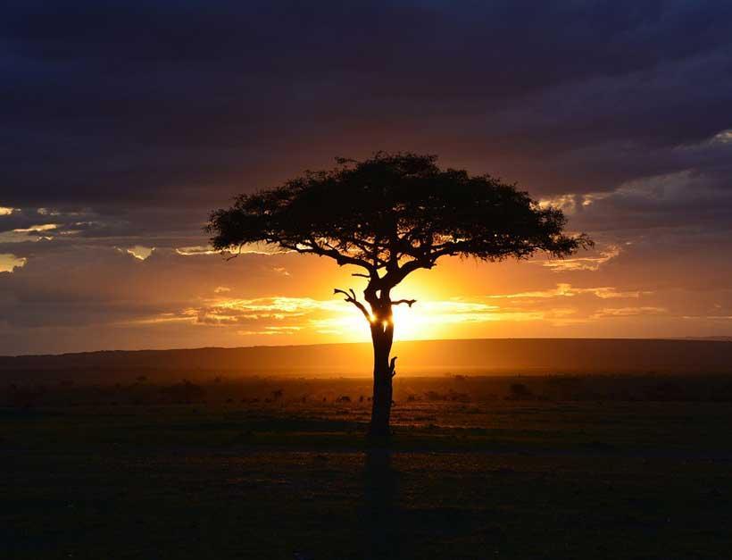 Africa’s Call for Global Unity in Resource Mobilization for Development and Climate Action Africa’s Call for Global Unity in Resource Mobilization for Development and Climate Action