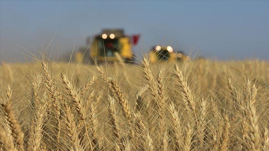 Poland extends embargo on Ukrainian grain, agricultural products Poland extends embargo on Ukrainian grain, agricultural products