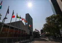 Top UN diplomat resigns citing ‘text-book case of genocide’ in Gaza Top UN diplomat resigns citing ‘text-book case of genocide’ in Gaza