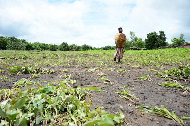 Weather experts say dry spells to continue