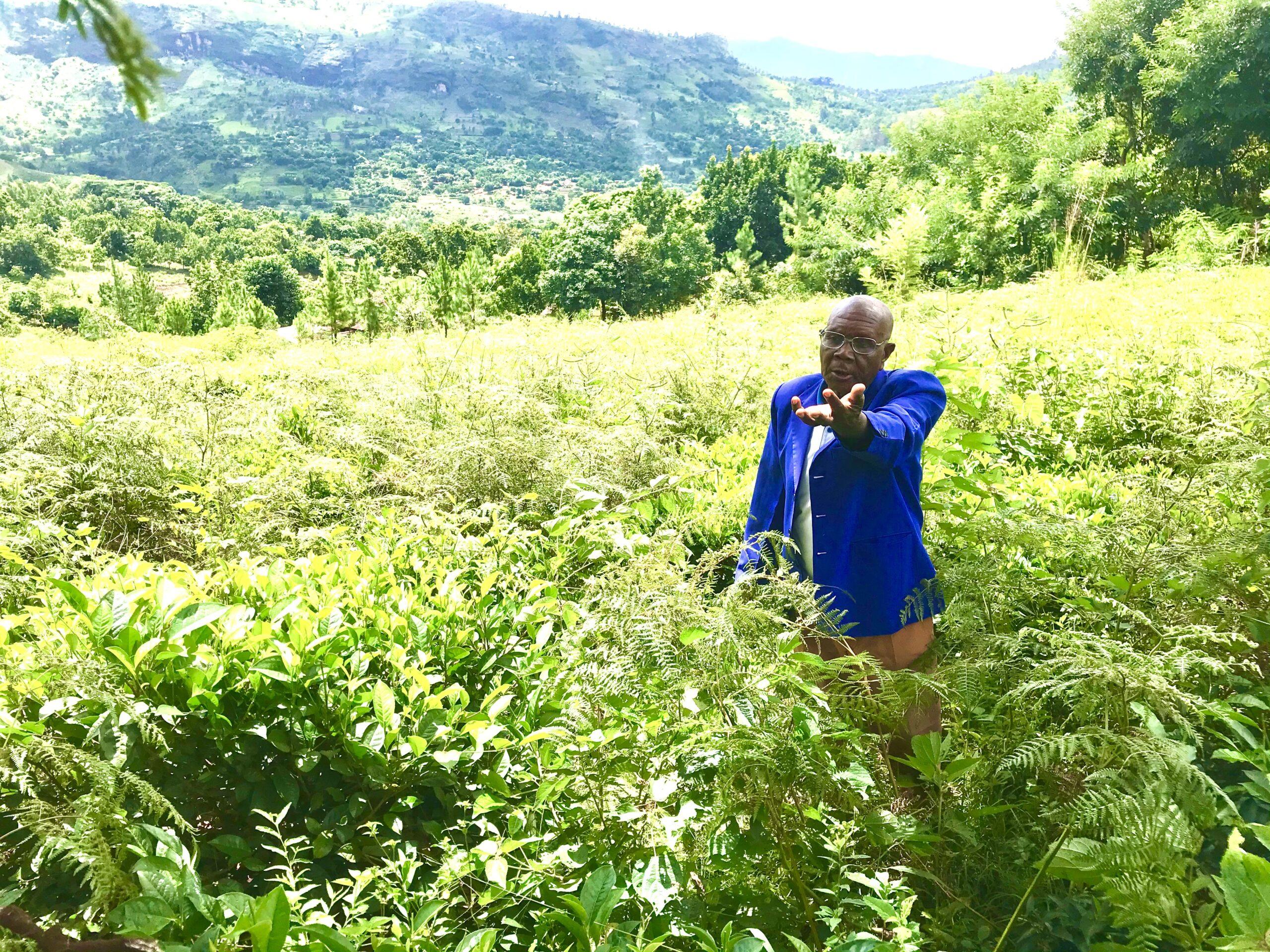 Farming communities being sensitised on management of destructive plant species affecting crop productivity Farming communities being sensitised on management of destructive plant species affecting crop productivity