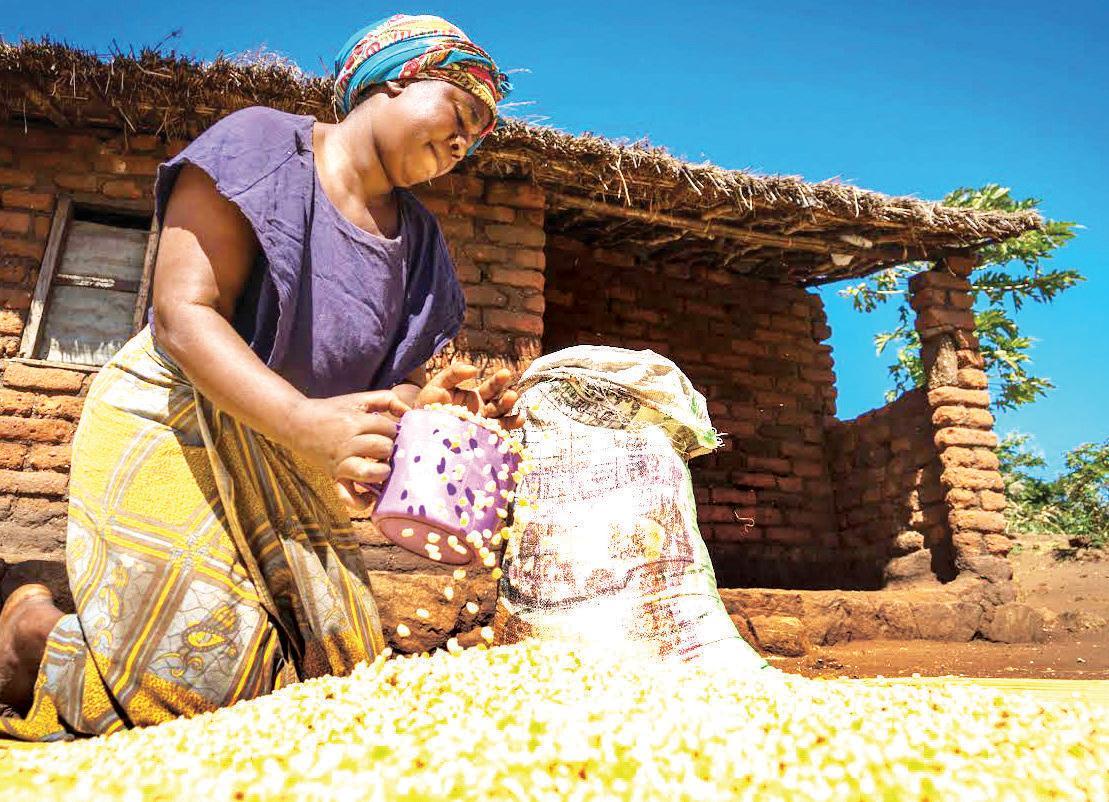 IMF mission wraps up review in Malawi