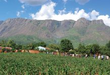 Mulanje Mountain declared Unesco World Heritage Site Mulanje Mountain declared Unesco World Heritage Site
