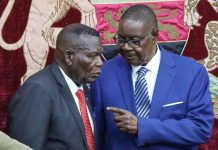 Mutharika Appointments Reflect Strategy and Balance Mutharika Appointments Reflect Strategy and Balance