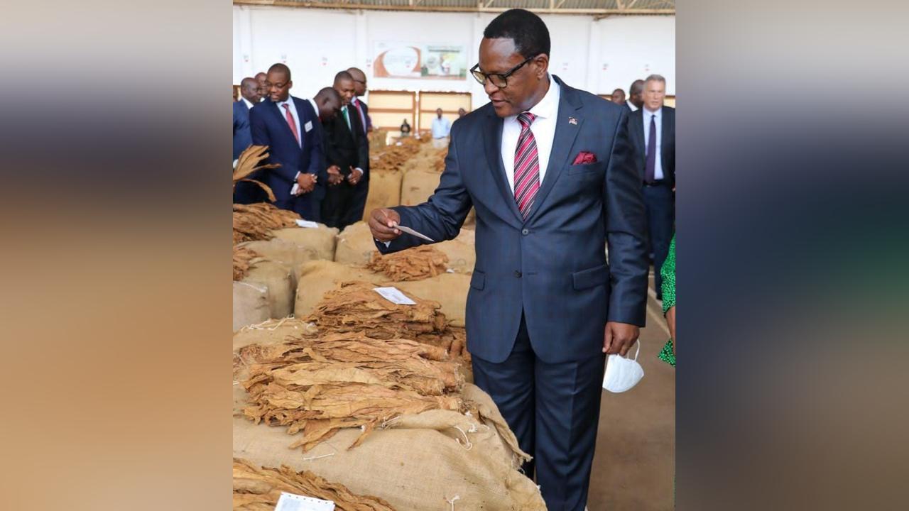 K17 Billion Tobacco Unsold Hurts Malawi's Economy K17 Billion Tobacco Unsold Hurts Malawi's Economy