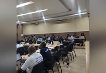 Government Establishes Gemstone Processing Centers Government Establishes Gemstone Processing Centers