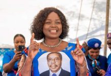 MegaFarms Dream Fails Due to Mismanagement and Weather MegaFarms Dream Fails Due to Mismanagement and Weather