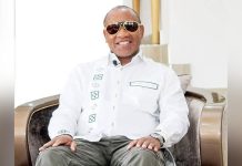 Celebrations Erupt as Dr. Thomson Mpinganjira Is Free Celebrations Erupt as Dr. Thomson Mpinganjira Is Free