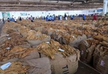 Adult Smokers Can Switch to Lower-Risk Substitutes Adult Smokers Can Switch to Lower-Risk Substitutes