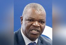 Leadership Shake-Up at Egenco Liabunya’s Return Leadership Shake-Up at Egenco Liabunya's Return