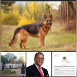 Police Raid Former Malawi President Chakwera’s Home Police Raid Former Malawi President Chakwera's Home