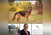 Police Raid Former Malawi President Chakwera’s Home Police Raid Former Malawi President Chakwera's Home