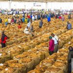 WHO Tobacco Control Strategy Criticized as Outdated WHO Tobacco Control Strategy Criticized as Outdated