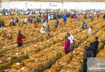 WHO Tobacco Control Strategy Criticized as Outdated WHO Tobacco Control Strategy Criticized as Outdated