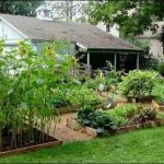 Backyard farming – a hub for family servings Backyard farming – a hub for family servings