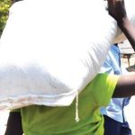 Chiefs Accused of Hijacking FISP in Thyolo Chiefs Accused of Hijacking FISP in Thyolo