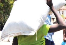 Chiefs Accused of Hijacking FISP in Thyolo Chiefs Accused of Hijacking FISP in Thyolo