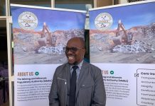 Malawi Loses Up to US$500 Million Annually to Illegal Mining Malawi Loses Up to US$500 Million Annually to Illegal Mining