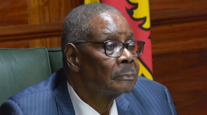 Experts Warn Mutharika’s Governance Unit Risks Hollow Reform Experts Warn Mutharika's Governance Unit Risks Hollow Reform