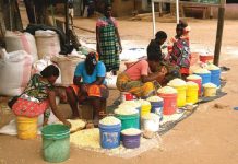 Malawi Exports Maize to Zambia Amid Import Plans Malawi Exports Maize to Zambia Amid Import Plans