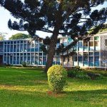 K26 Billion Cotton Scandal Exposes Admarc Trade Chaos K26 Billion Cotton Scandal Exposes Admarc Trade Chaos