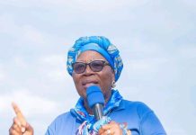 Malawi VP Jane Ansah’s MK2 Billion Birthday Trip Malawi VP Jane Ansah's MK2 Billion Birthday Trip