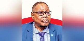 To tame Malawi’s wild debt beast To tame Malawi’s wild debt beast