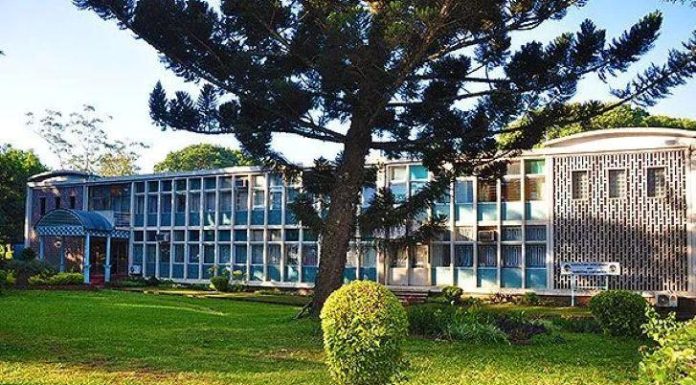 132 Tonnes of Rot in ADMARC Maize Scandal 132 Tonnes of Rot in ADMARC Maize Scandal