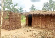 Community, estate in 13-year fight over land in Kasungu Community, estate in 13-year fight over land in Kasungu