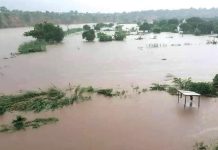 How land crisis squeezes Shire Valley communities How land crisis squeezes Shire Valley communities