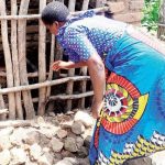 From ruin to resilience From ruin to resilience