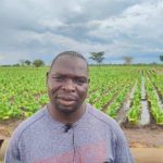 Chithyola’s Empty Chair and the Missing Opposition Chithyola's Empty Chair and the Missing Opposition