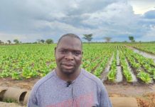 Chithyola’s Empty Chair and the Missing Opposition Chithyola's Empty Chair and the Missing Opposition