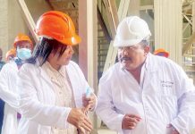 Electricity woes weigh down mining sector Electricity woes weigh down mining sector