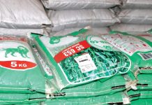 Parliament tough on Neef assets disposal Parliament tough on Neef assets disposal