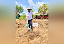 Castel Malawi replants 2000 trees at Mudi catchment area Castel Malawi replants 2000 trees at Mudi catchment area