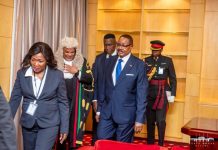 Public Questions Chisale’s Dual Role as Lawmaker and Guard Public Questions Chisale's Dual Role as Lawmaker and Guard