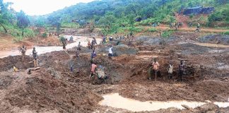 Mzimba’s gold rush creates buzzing commercial hub while stampeding on farmland, environment Mzimba’s gold rush creates buzzing commercial hub while stampeding on farmland, environment