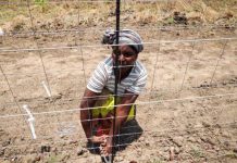 Kasungu Fence Nears Completion Bringing Hope to Communities Kasungu Fence Nears Completion Bringing Hope to Communities