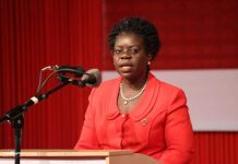 PAC Advances Amaryllis Report Amid Zamba’s Absence PAC Advances Amaryllis Report Amid Zamba's Absence