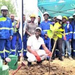 PressCane drives re-greening with tree planting in Chikwawa PressCane drives re-greening with tree planting in Chikwawa