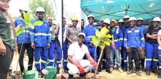 PressCane drives re-greening with tree planting in Chikwawa PressCane drives re-greening with tree planting in Chikwawa
