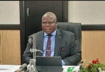 Mpatamanga Power Project Progresses Toward 2030 Goals Mpatamanga Power Project Progresses Toward 2030 Goals