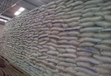 Fertilizer Prices Surge Amid Global Supply Disruptions Fertilizer Prices Surge Amid Global Supply Disruptions