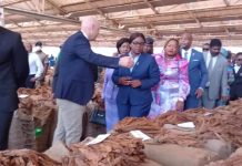 Low Prices Shock Farmers as Tobacco Market Opens Low Prices Shock Farmers as Tobacco Market Opens