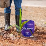 Standard Bank Invests MK50 Million in Lilongwe Re-Greening Standard Bank Invests MK50 Million in Lilongwe Re-Greening