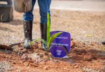 Standard Bank Invests MK50 Million in Lilongwe Re-Greening Standard Bank Invests MK50 Million in Lilongwe Re-Greening