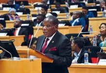 Experts Praise Mwanamveka for Economic Recovery Efforts Experts Praise Mwanamveka for Economic Recovery Efforts